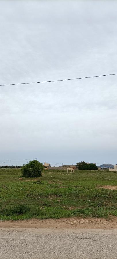 Hotel L'Hirondelle De Kelibia : Chez Amou Exterior foto