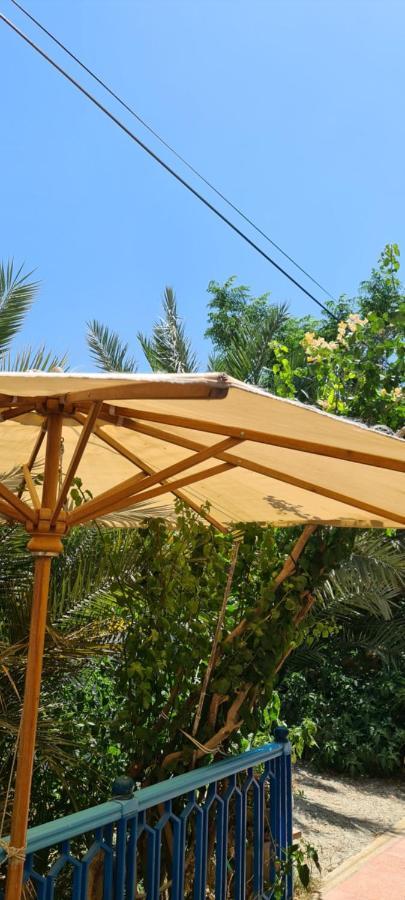 Hotel L'Hirondelle De Kelibia : Chez Amou Exterior foto